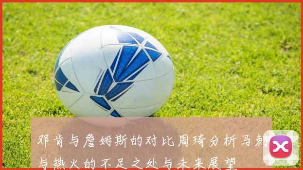 邓肯与詹姆斯的对比周琦分析马刺与热火的不足之处与未来展望